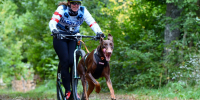 Dogscooting Sonja Geiger